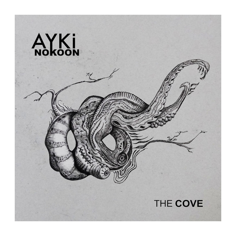 Ayki Nokoon The Cove CD